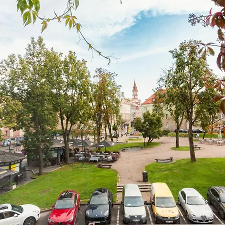 French Park View Апартаменты Вильнюс