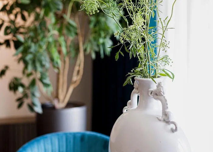 French Park View Butas *