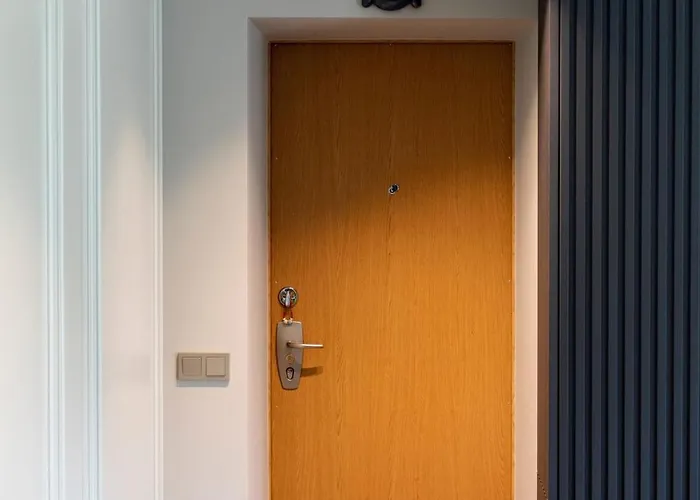 French Park View アパート ヴィリニュス